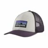 Patagonia P-6 Logo LoPro Trucker Unisex Hat Black